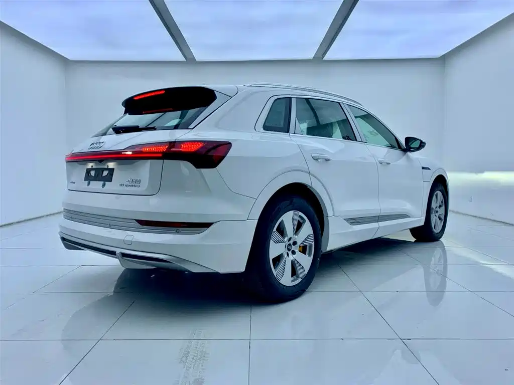 Audi e-tron 2021 50 quattro Luxury