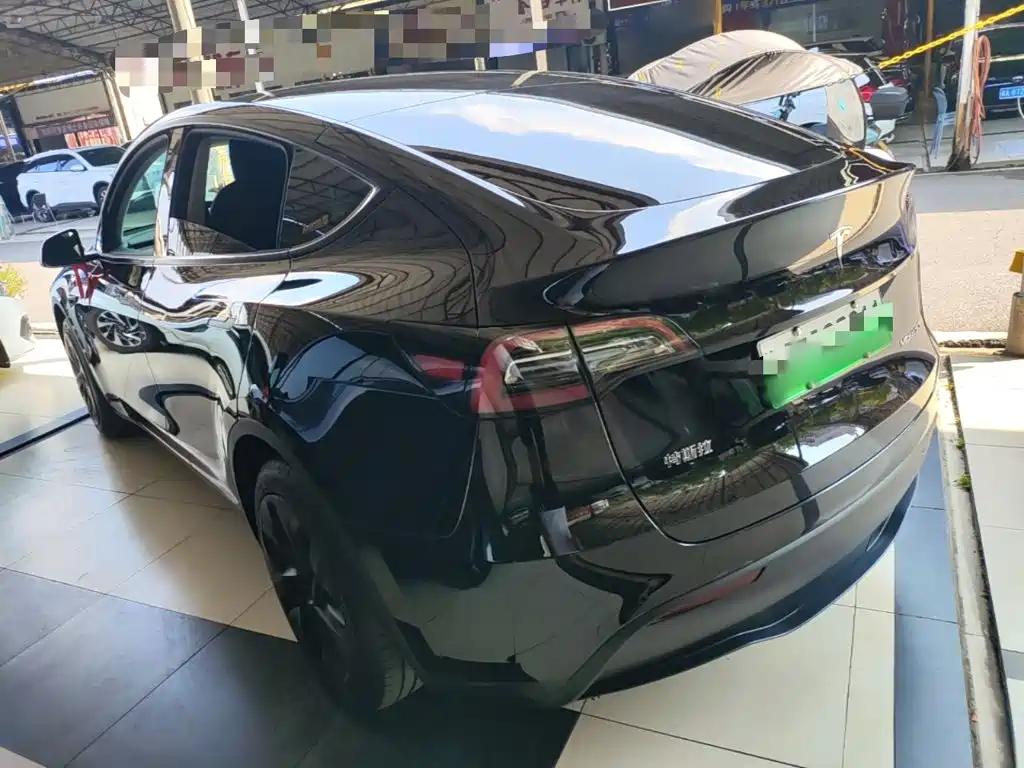 Tesla Model Y — миниатюра 5