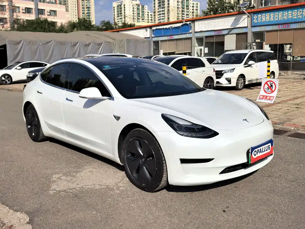 Tesla Model 3 — миниатюра 3