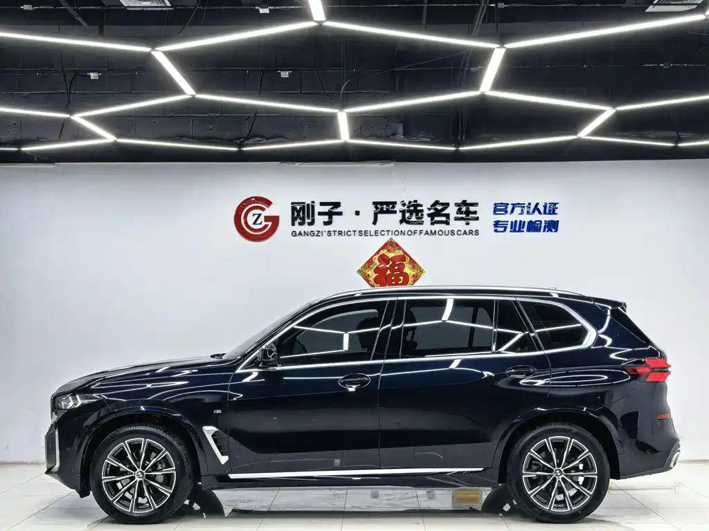 BMW X5 — миниатюра 23
