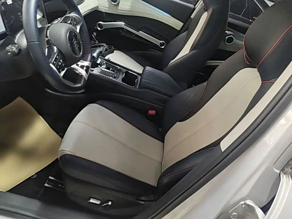 BYD Yuan Plus — миниатюра 15