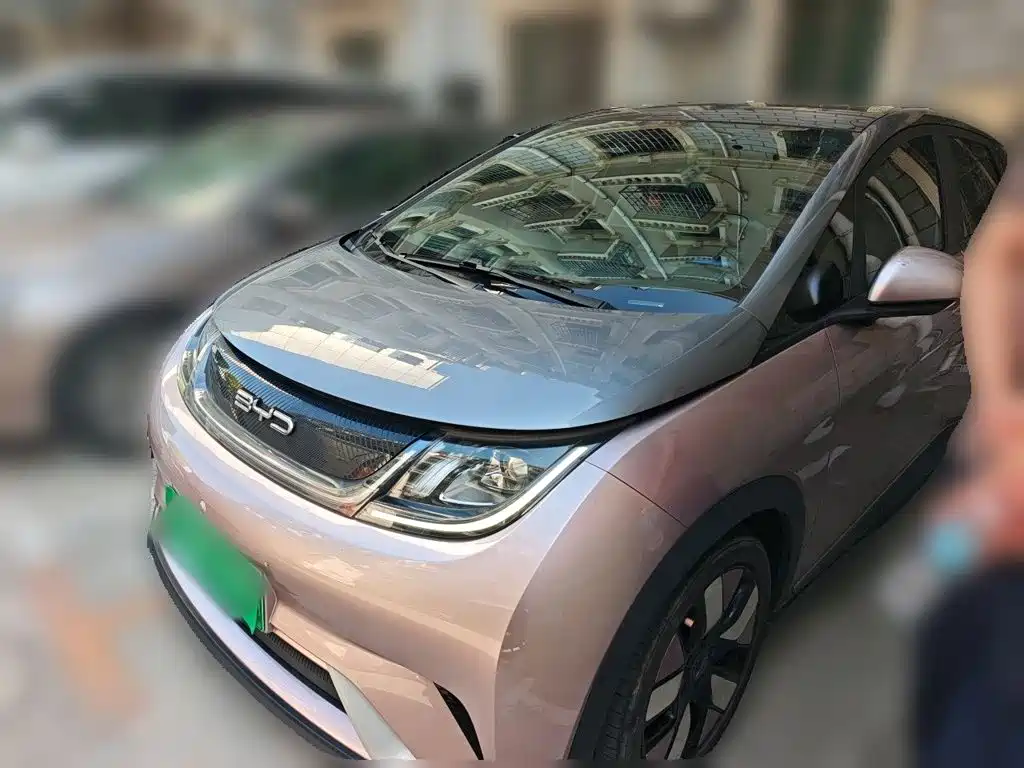BYD Dolphin — миниатюра 2