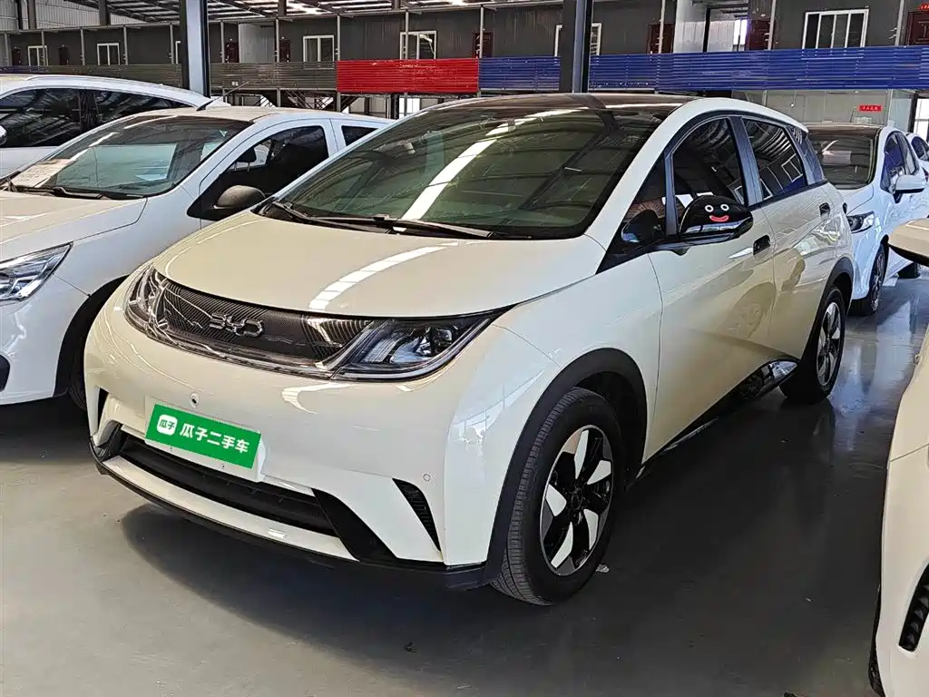 Byd Dolphin 2024