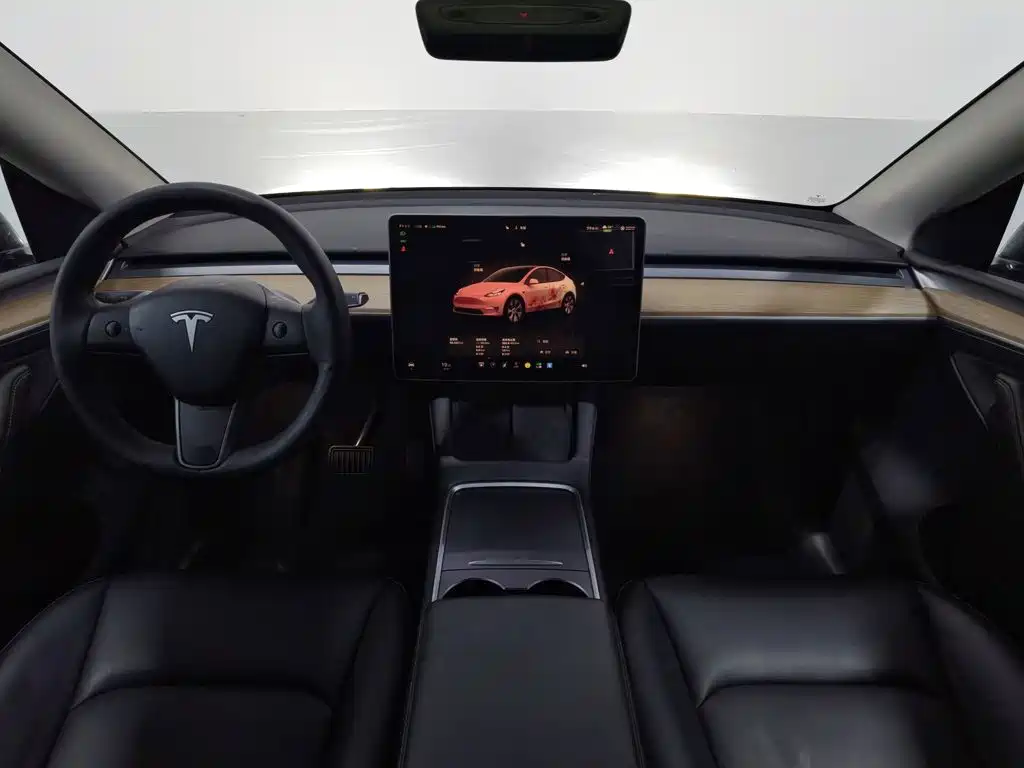 Tesla Model Y — миниатюра 5