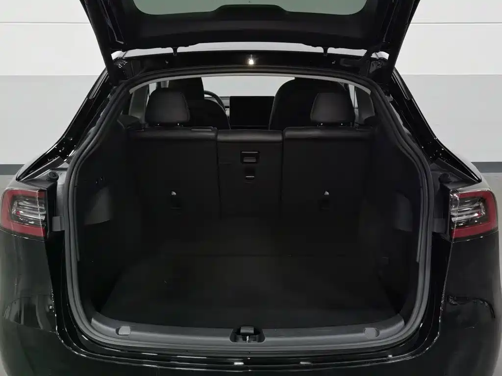 Tesla Model Y — миниатюра 16