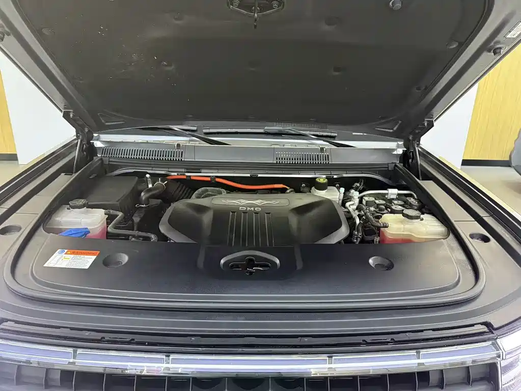 FANG CHENG BAO LEOPARD 5