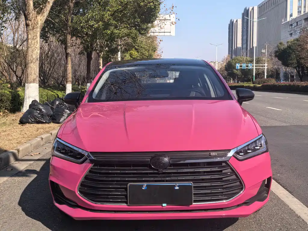 BYD QIN PRO