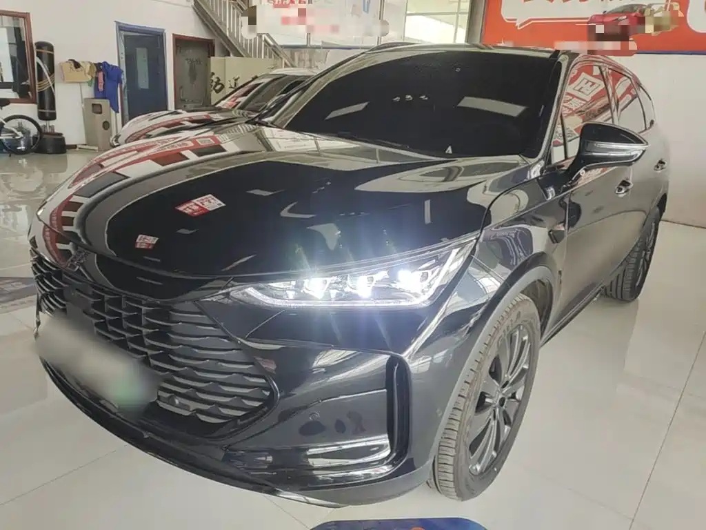 BYD Tang New Energy — миниатюра 2