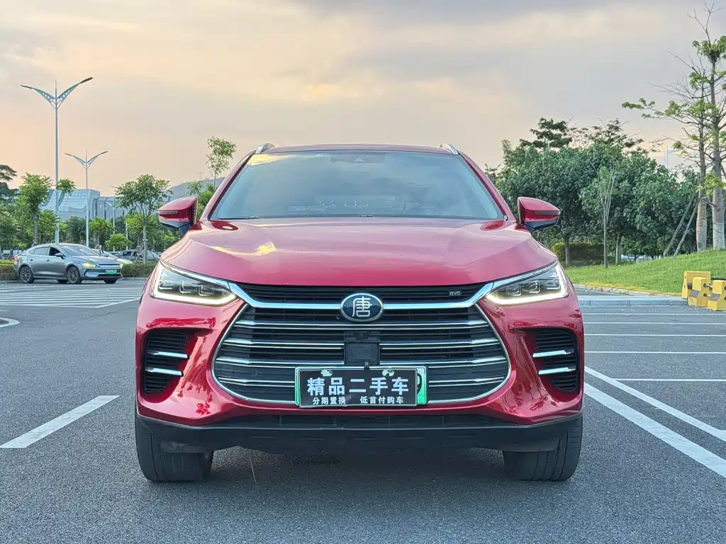 BYD Tang New Energy — миниатюра 2