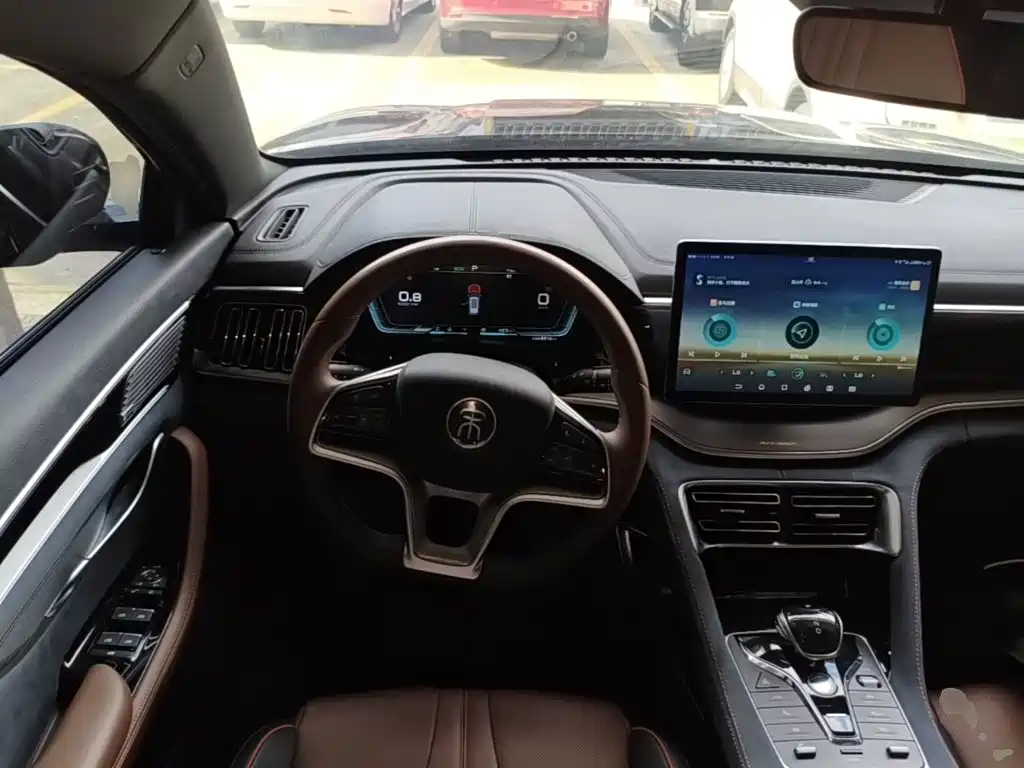 BYD PLUS — миниатюра 11