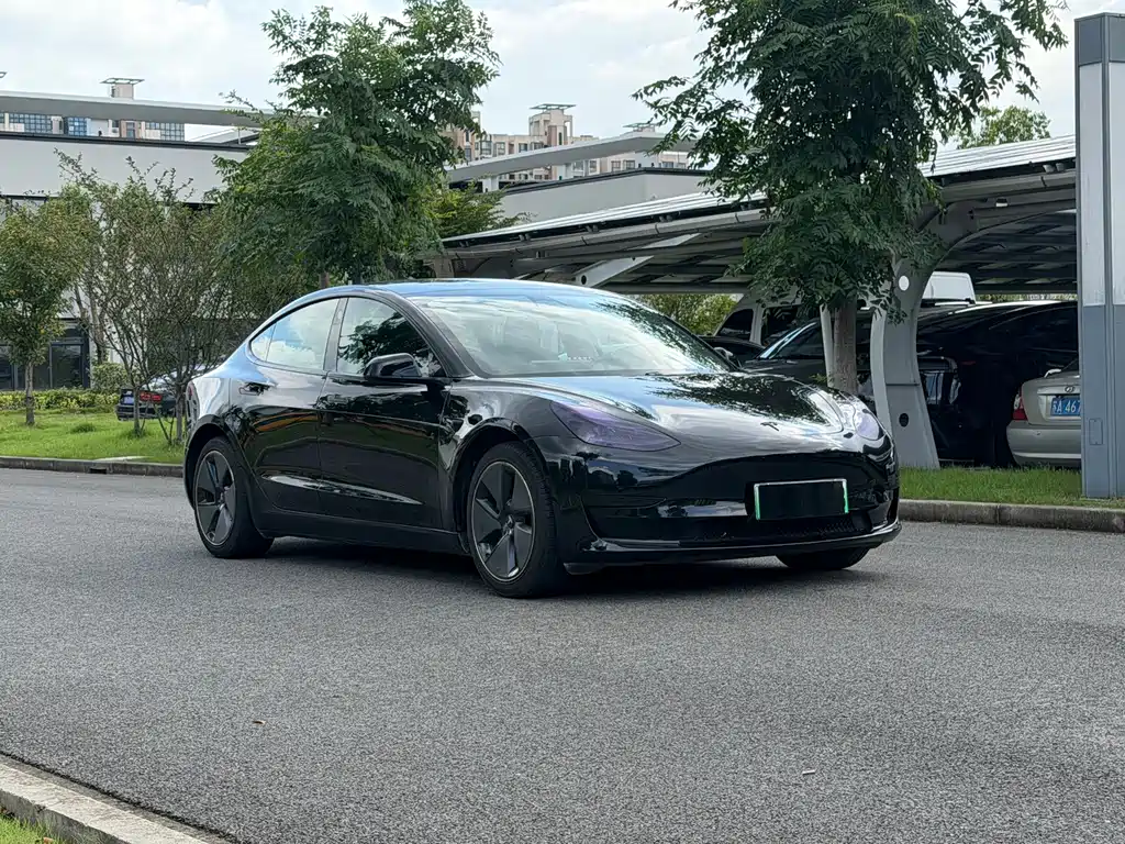 Tesla Model 3 — миниатюра 3