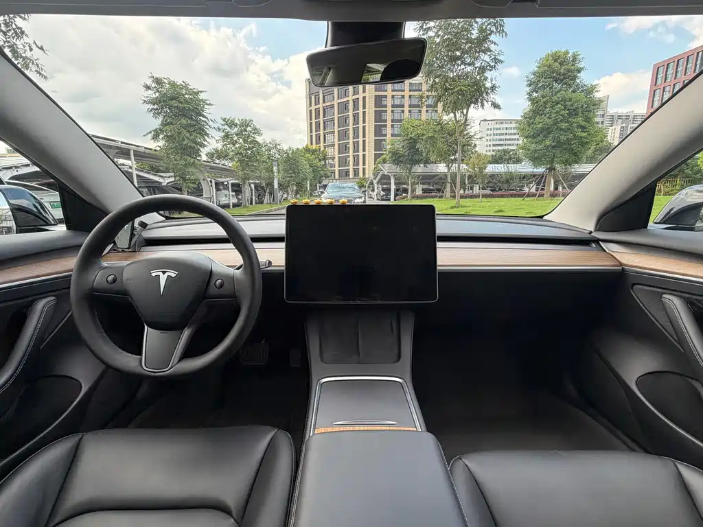 Tesla Model 3 — миниатюра 13