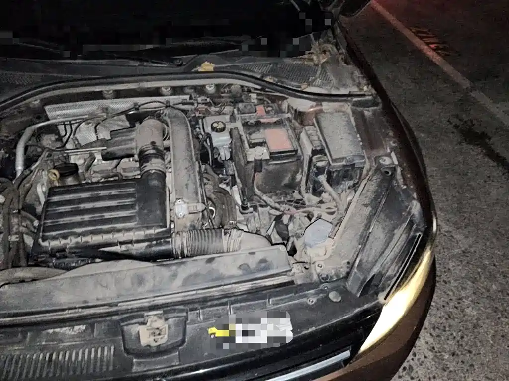 Volkswagen Lamando — миниатюра 21