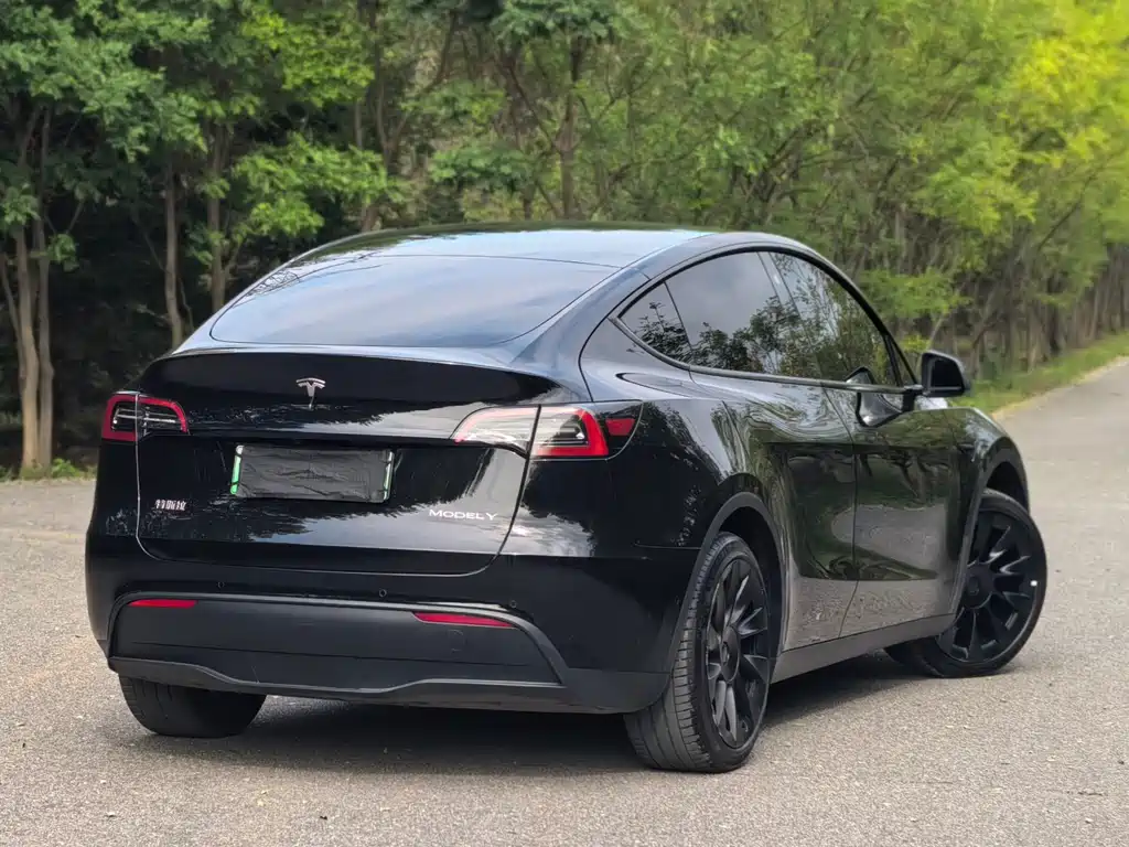 Tesla Model Y — миниатюра 6