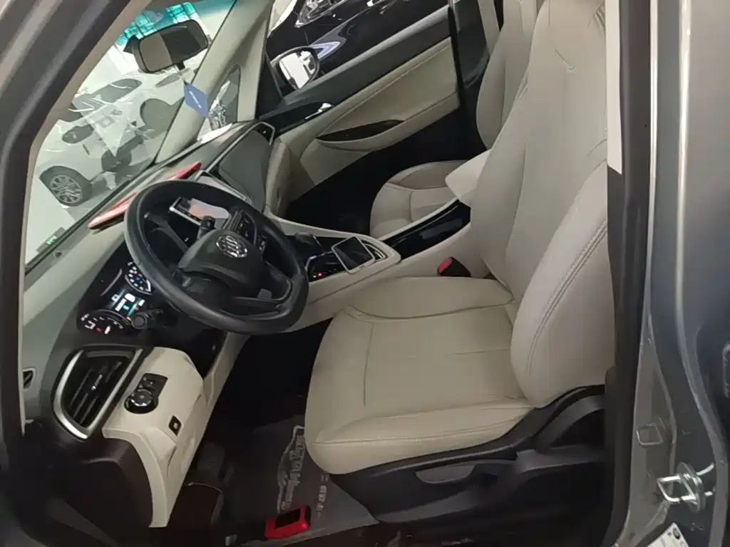 Buick GL6 — миниатюра 15
