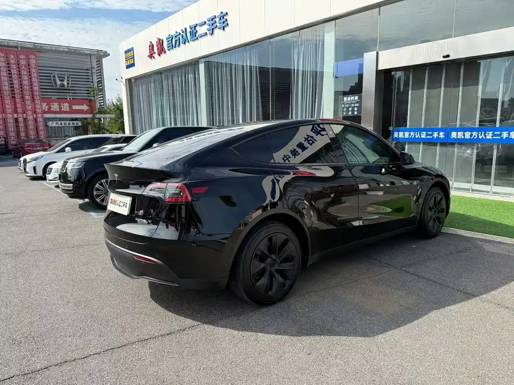 Tesla Model Y — миниатюра 7