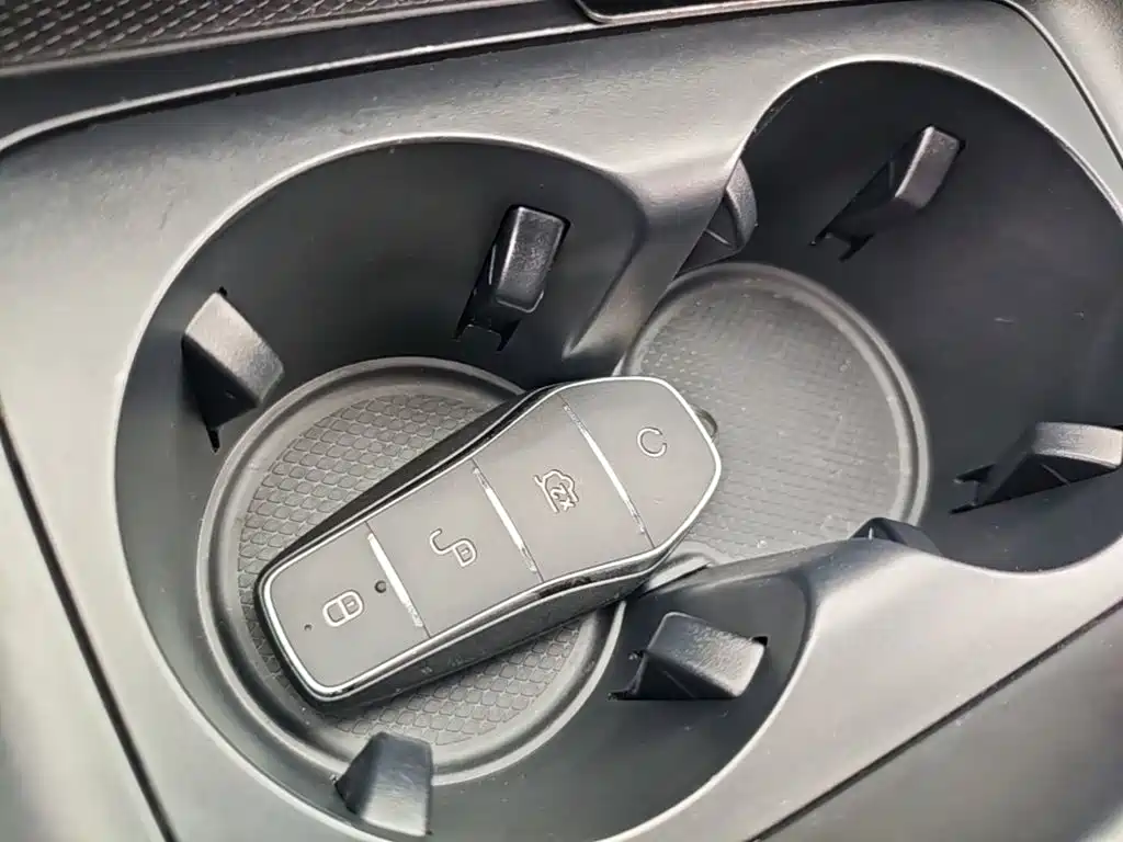 BYD Qin Plus PLUS 2024 DM-i 55KM Lead