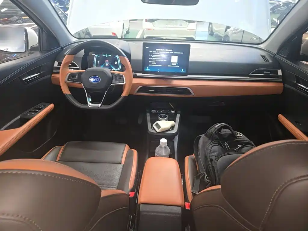 BYD e2 — миниатюра 10