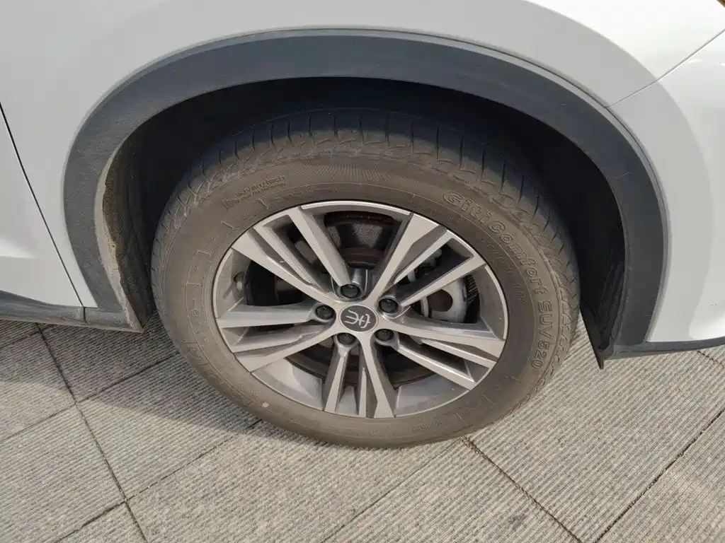 BYD Pro — миниатюра 8