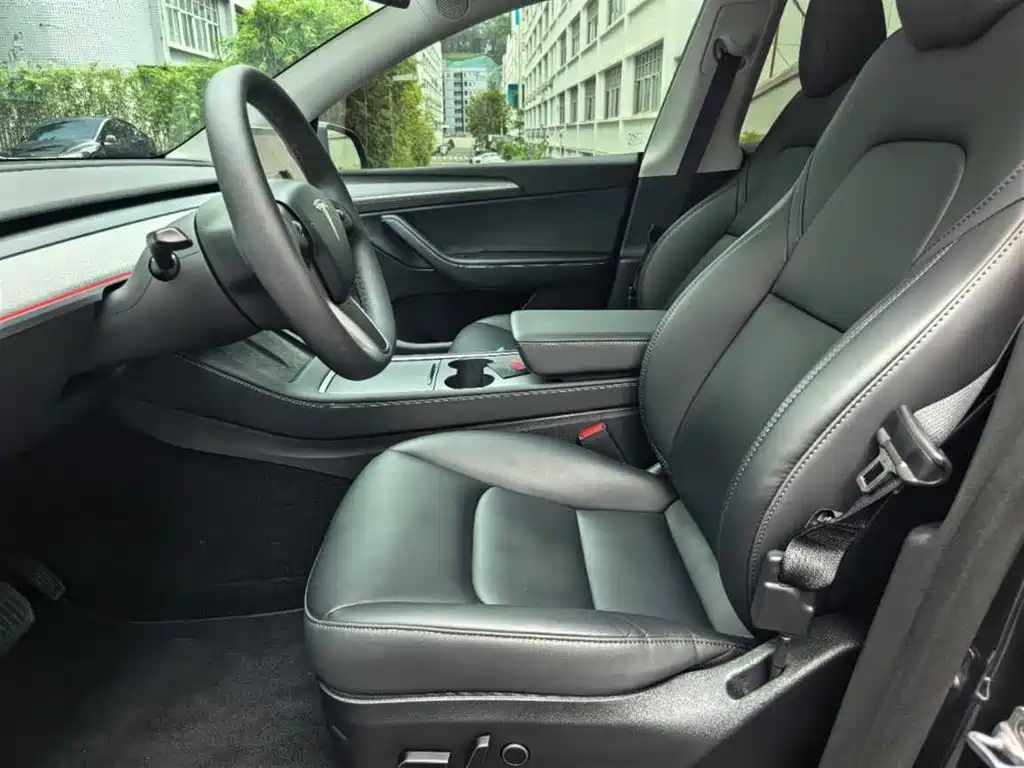 Tesla Model Y — миниатюра 4