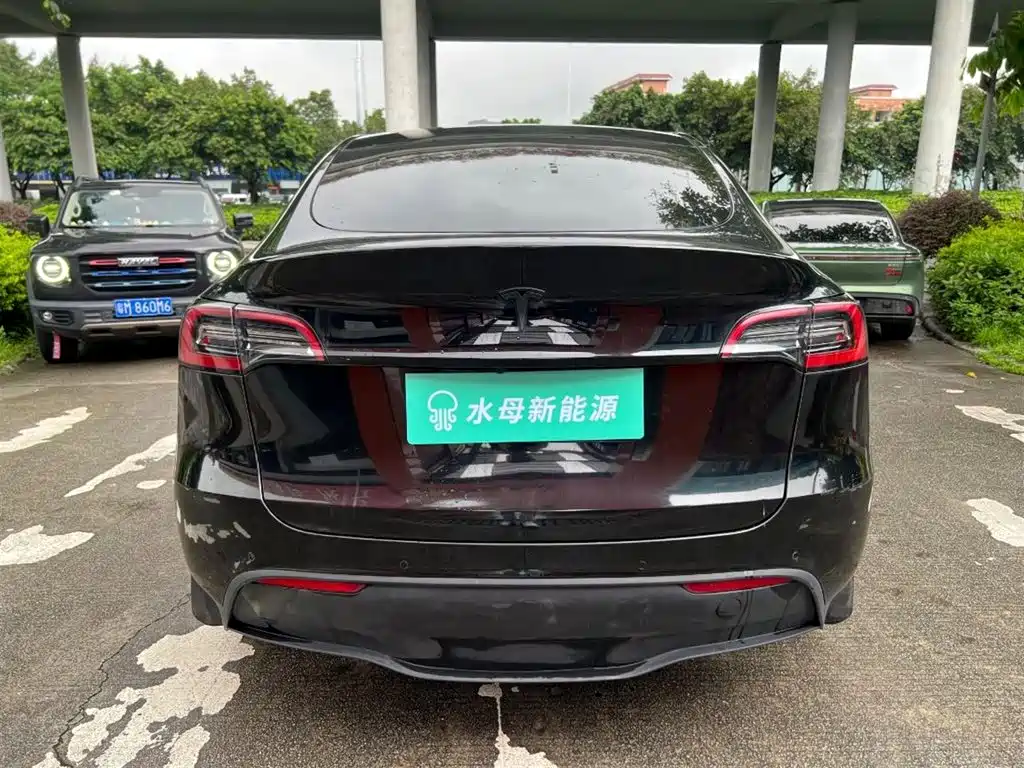 Tesla Model Y — миниатюра 7