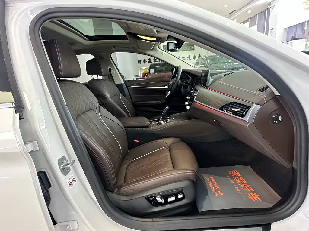 BMW 5 SERIES NEW ENERGY