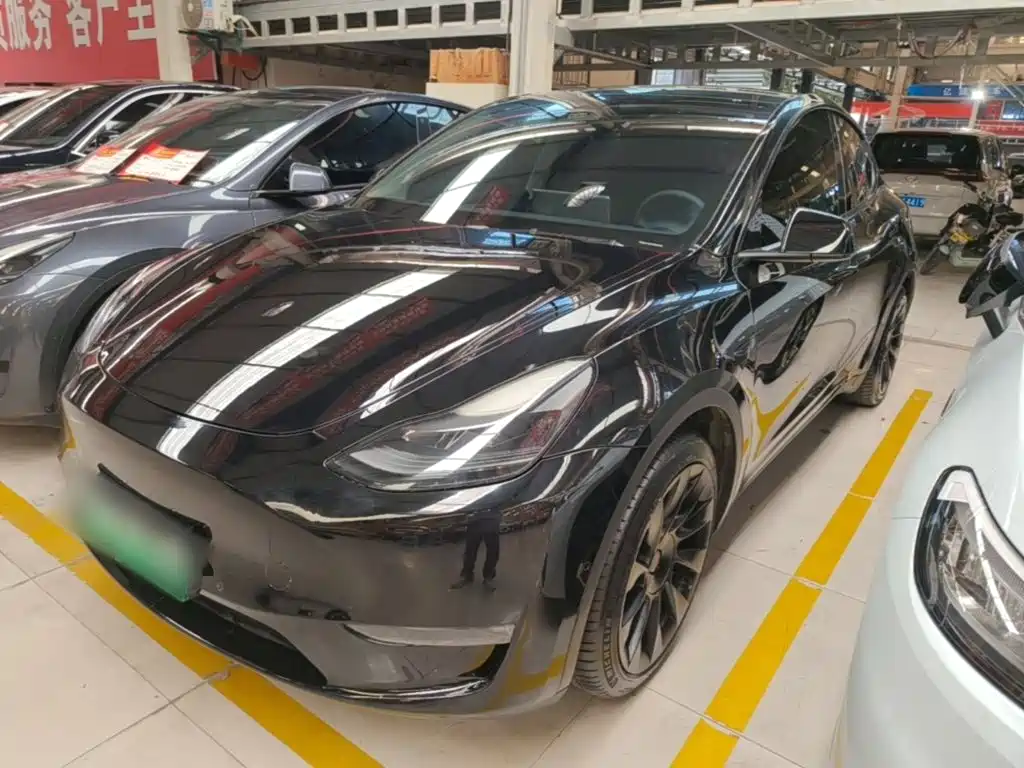Tesla Model Y — миниатюра 2