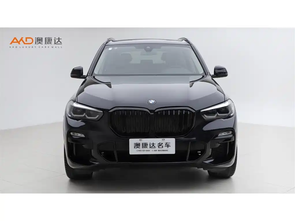 BMW X5 (Import) — миниатюра 2