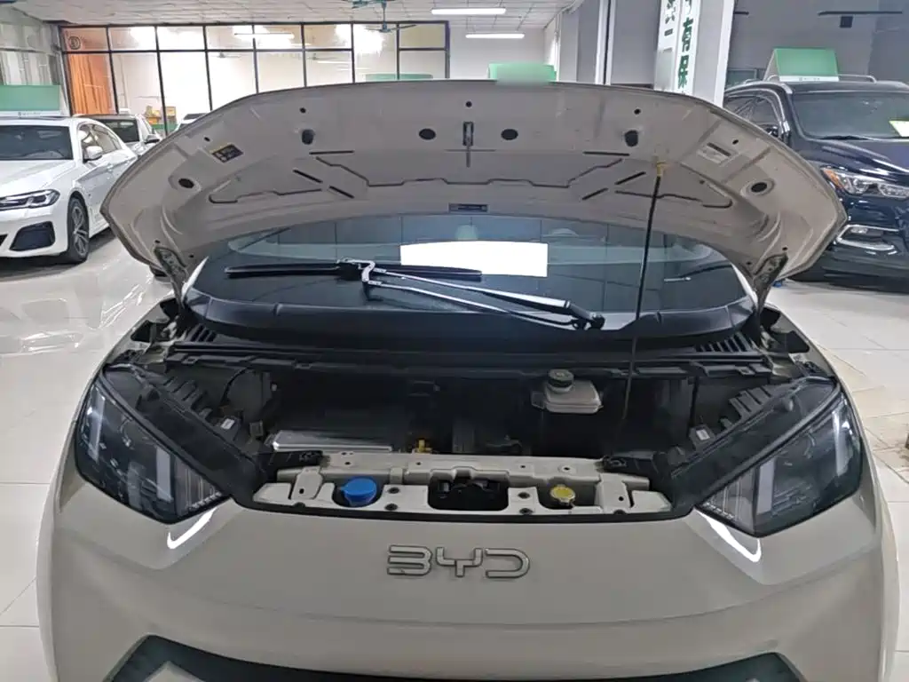 BYD Seagull — миниатюра 20