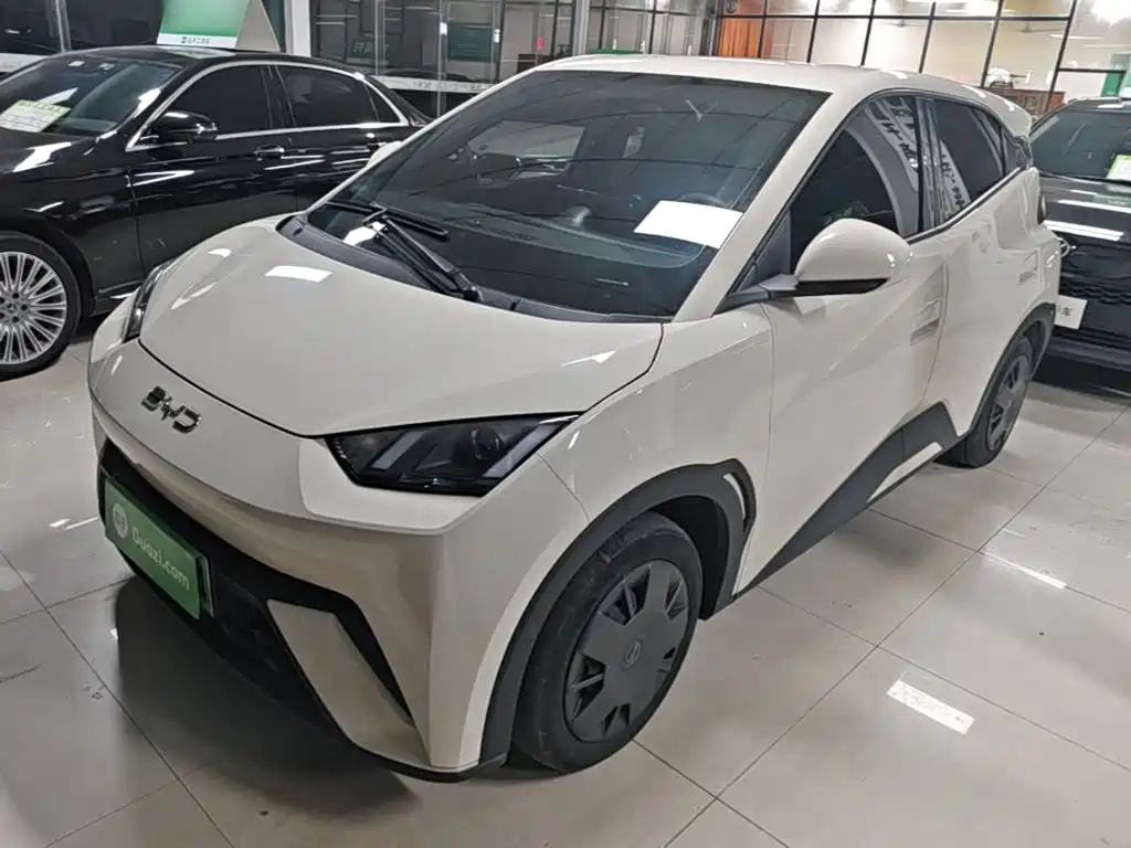 BYD Seagull