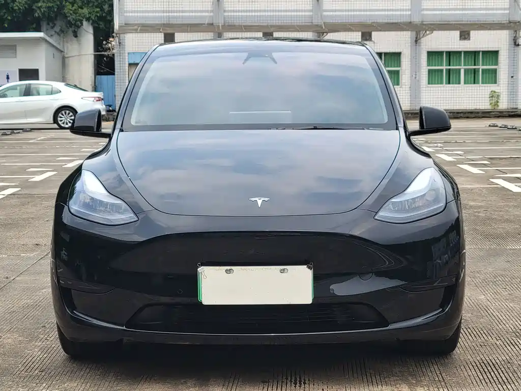Tesla Model Y — миниатюра 2