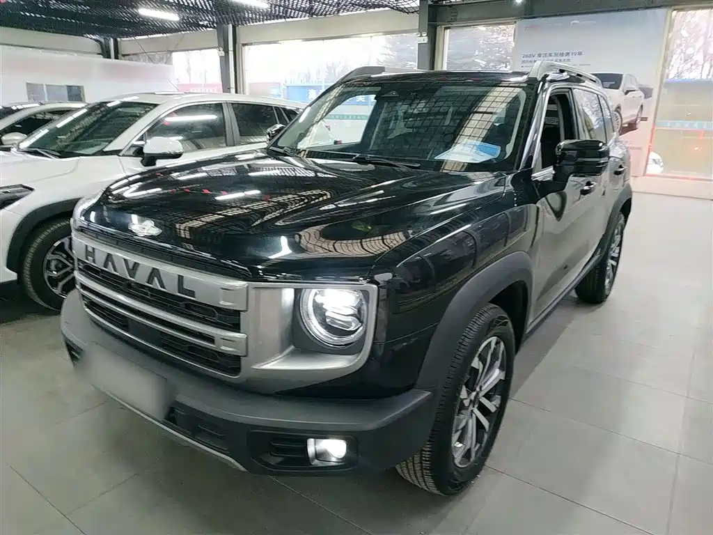 Haval Big Dog 2024