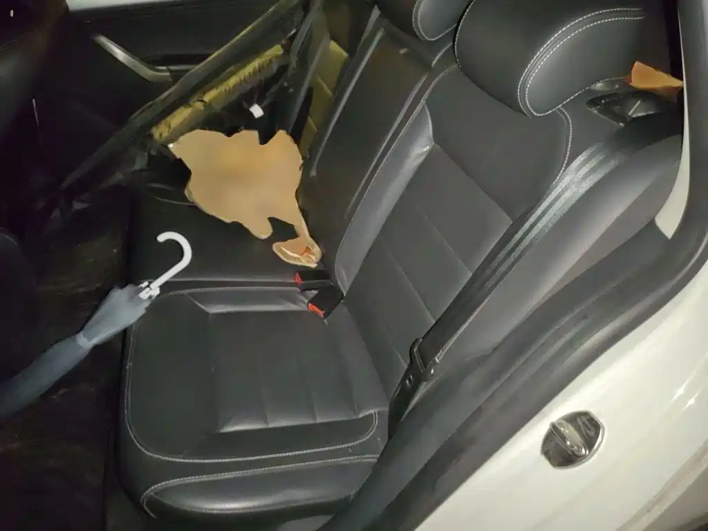 Volkswagen Gran Lavida — миниатюра 18
