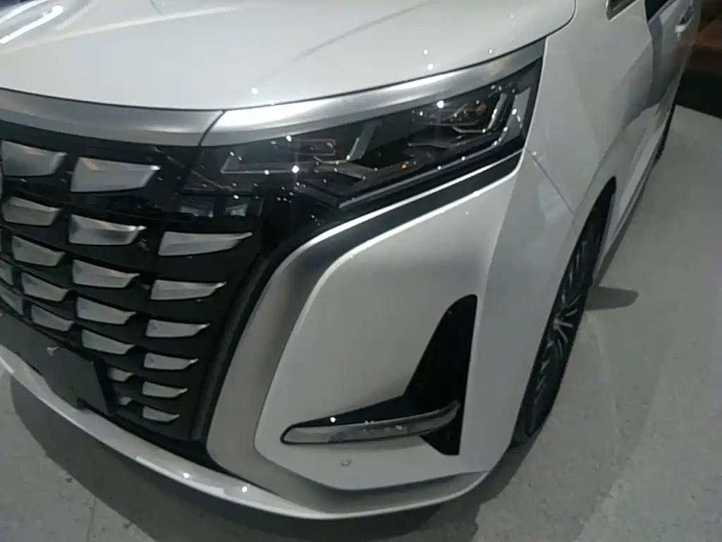 Denza Denza D9 — миниатюра 24