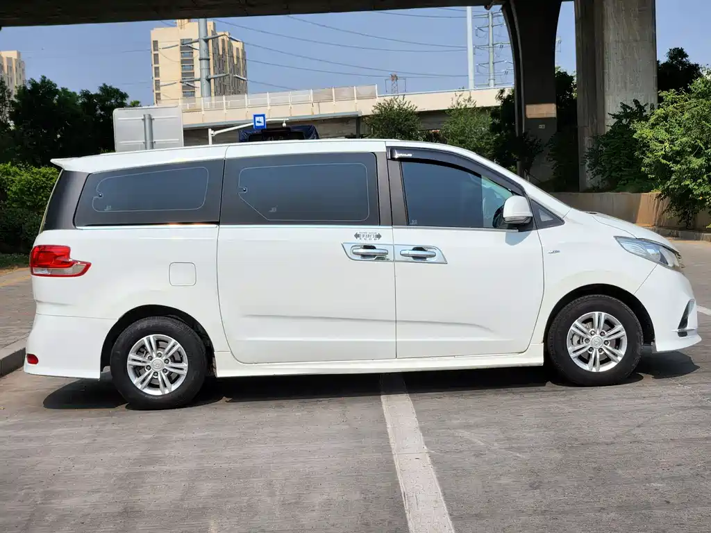 SAIC MAXUS CHASE G10