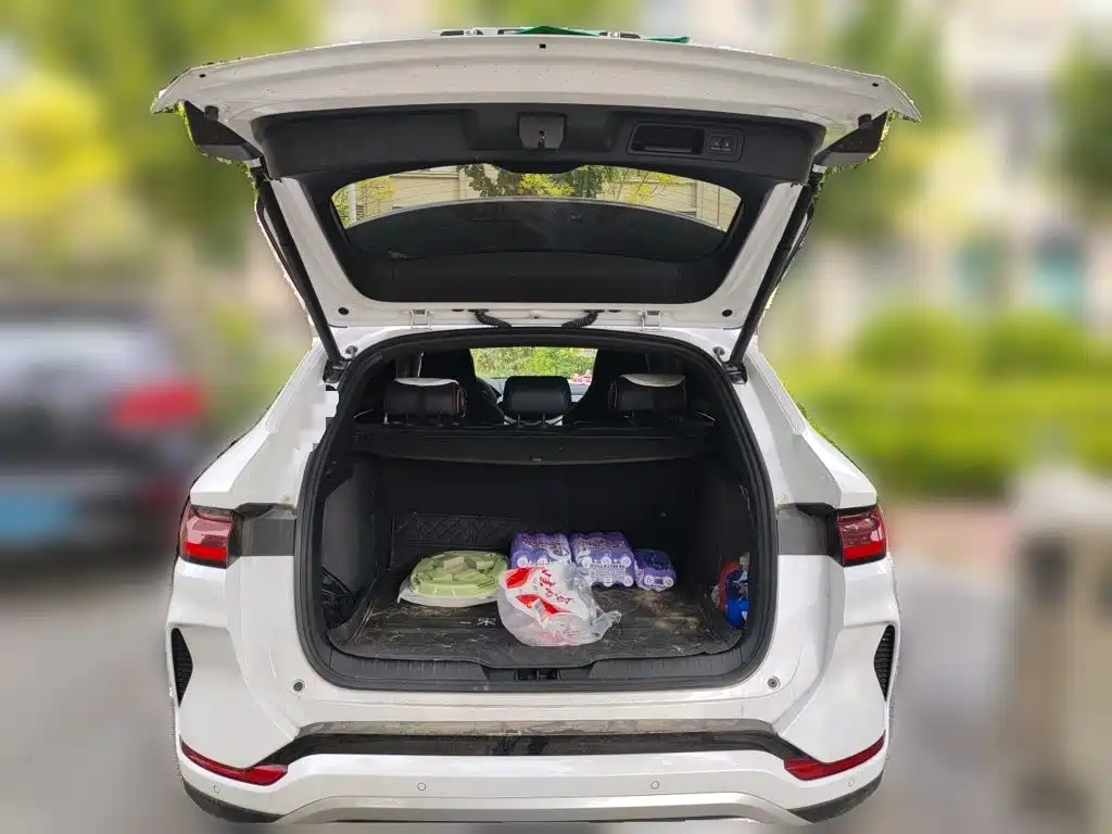 BYD PLUS New Energy — миниатюра 15