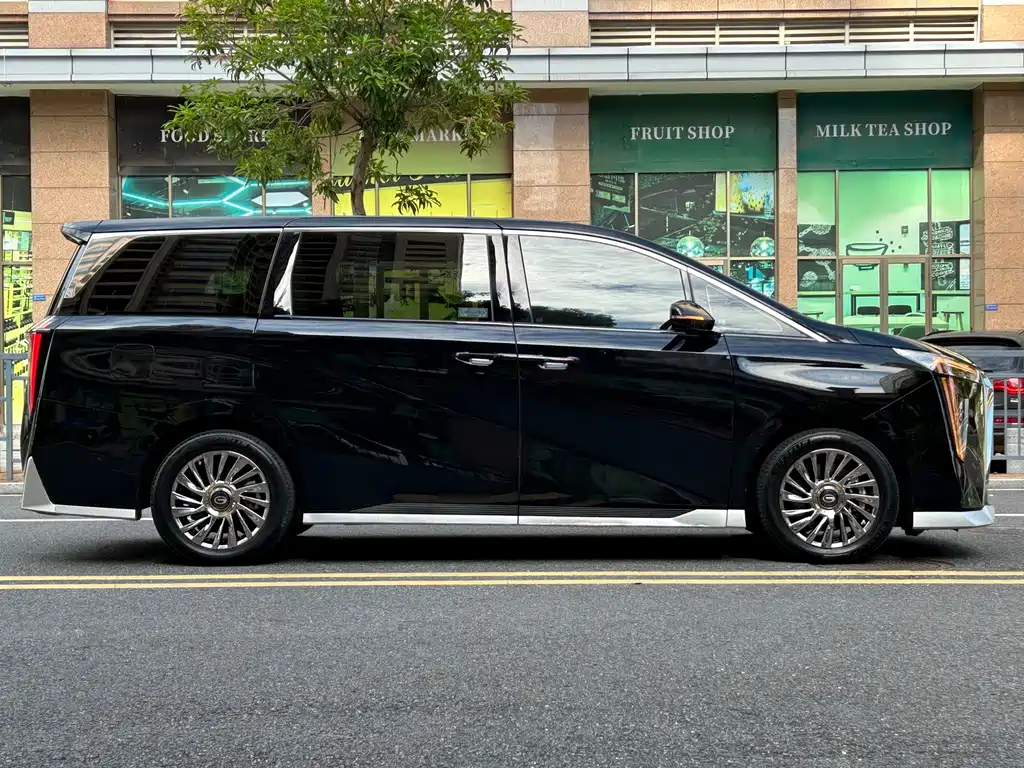 GAC Motor Trumpchi M8 — миниатюра 7