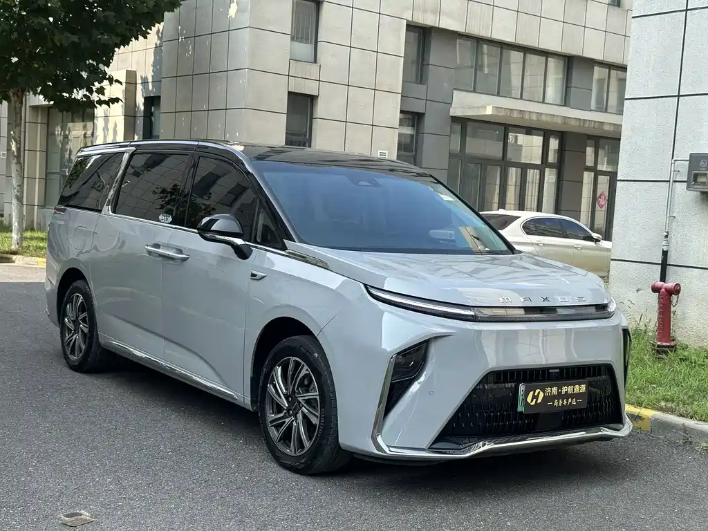 Maxus Dajia 9 — миниатюра 3