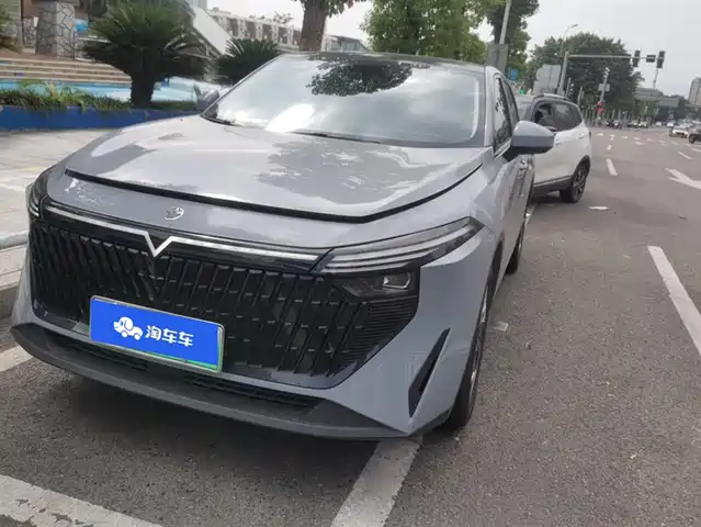 QICHEN  BIG V DD I 2023