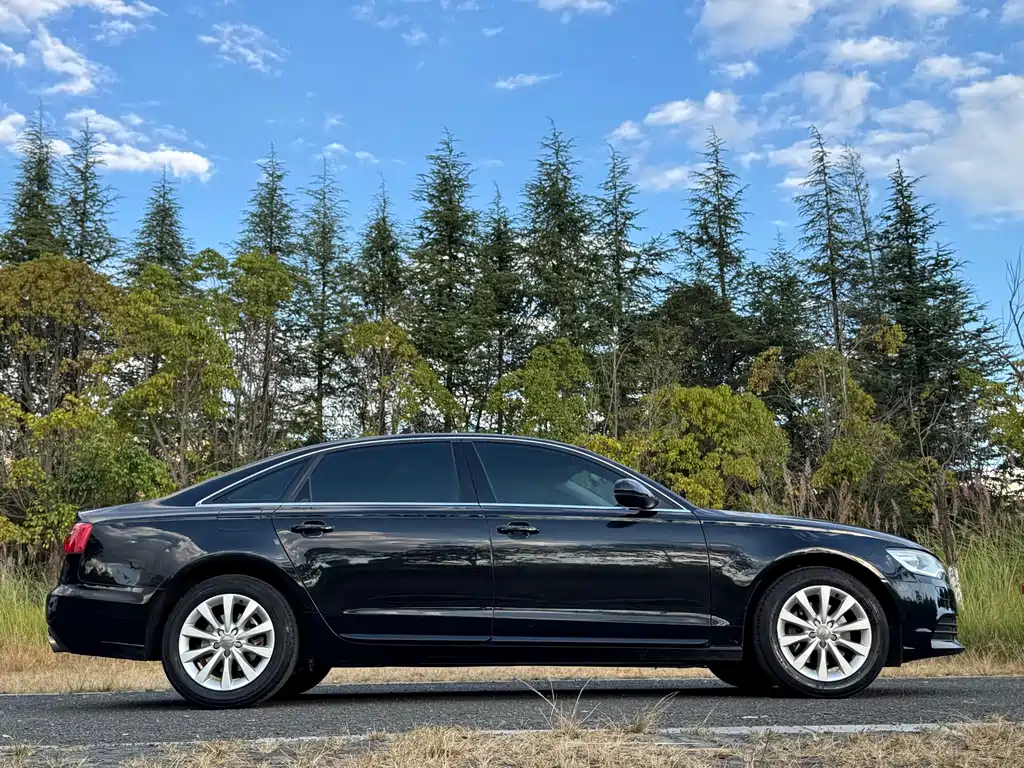 Audi A6L — миниатюра 14