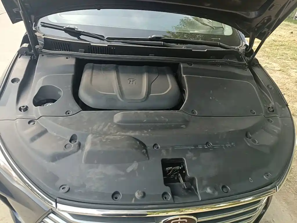 BYD MAX — миниатюра 20