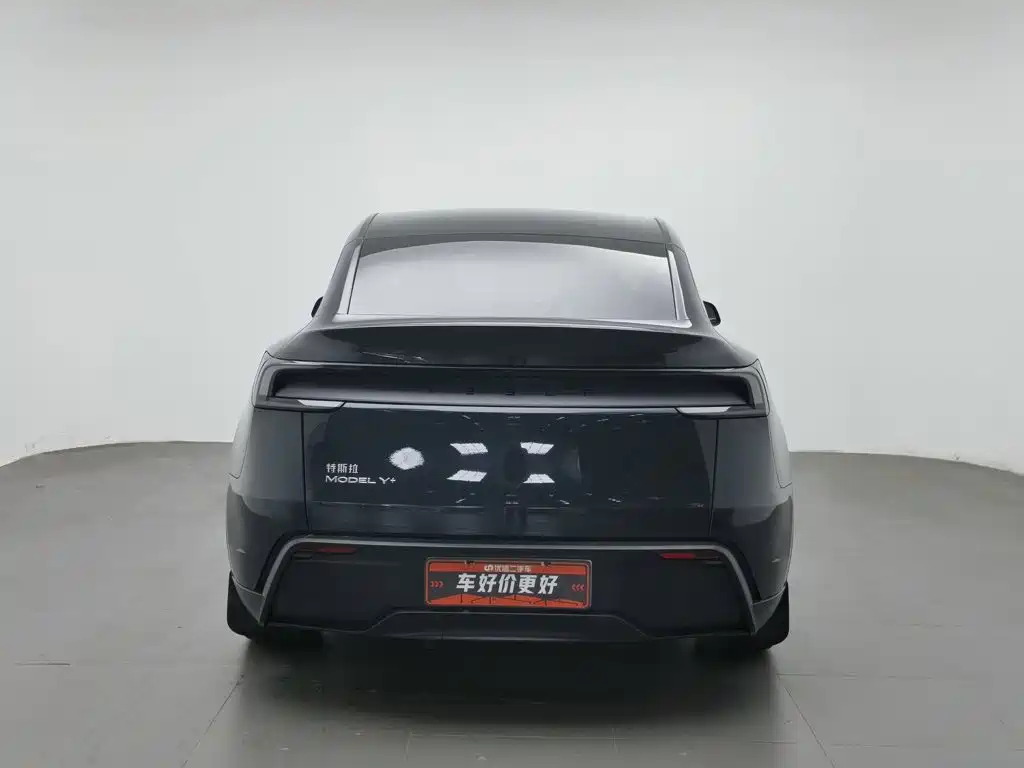 Tesla Model Y — миниатюра 4