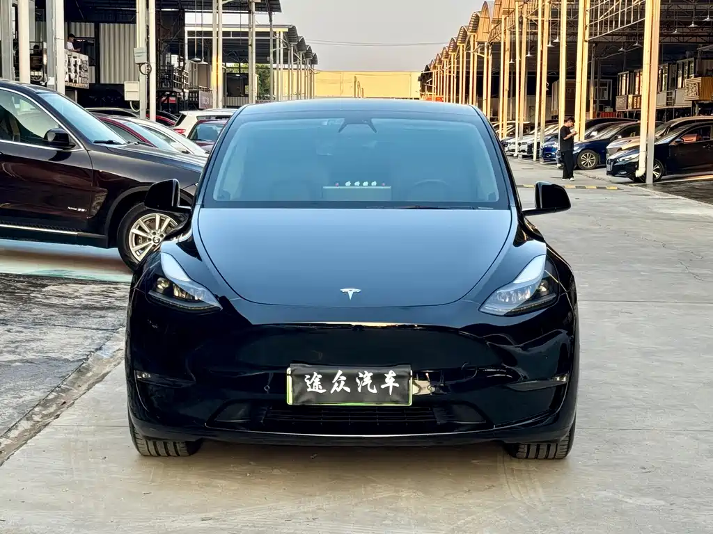 Tesla Model Y — миниатюра 2