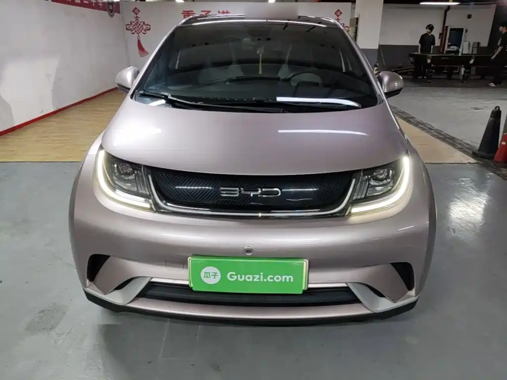 BYD Dolphin 2021 405km Fashion