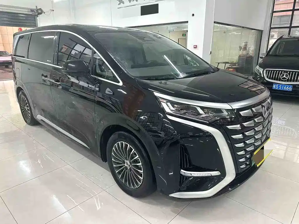 Denza Denza D9 — миниатюра 3