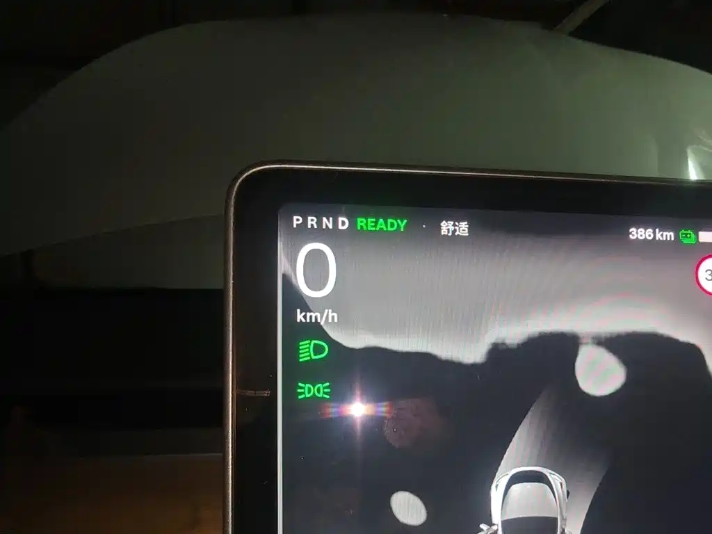 Tesla Model Y — миниатюра 4