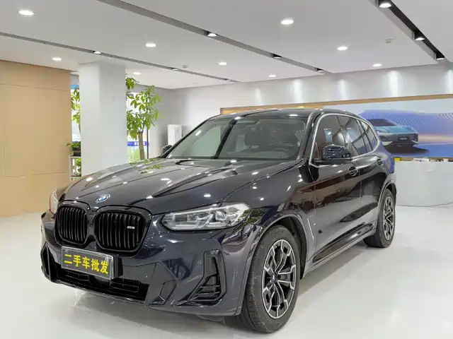 BMW i X 3 2023 Leading — фото 1