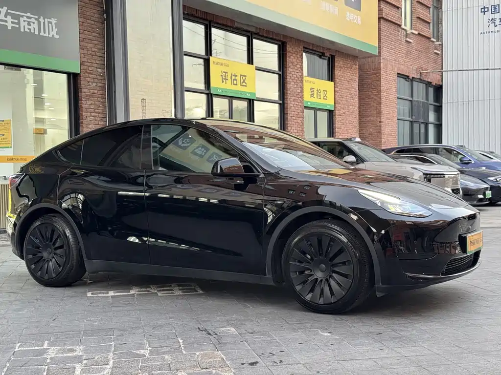 Tesla Model Y — миниатюра 3