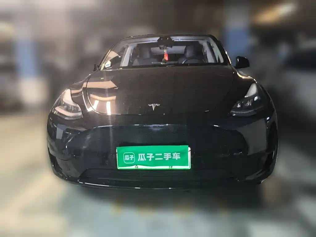 Tesla Model Y — миниатюра 24