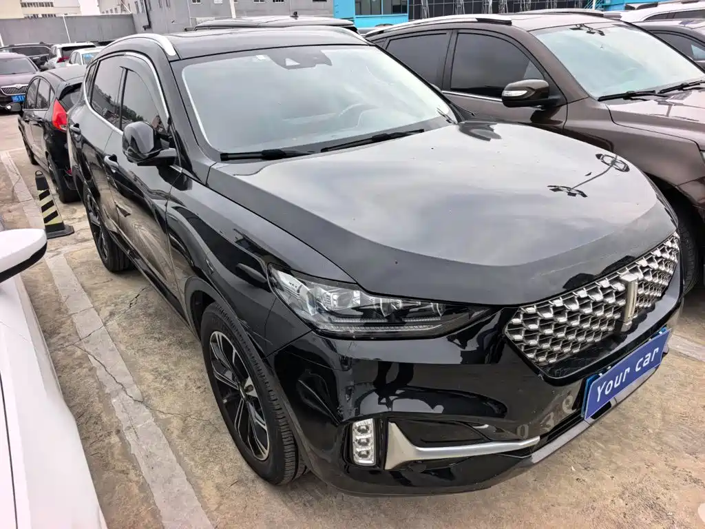 Wey Wey VV6 — миниатюра 2